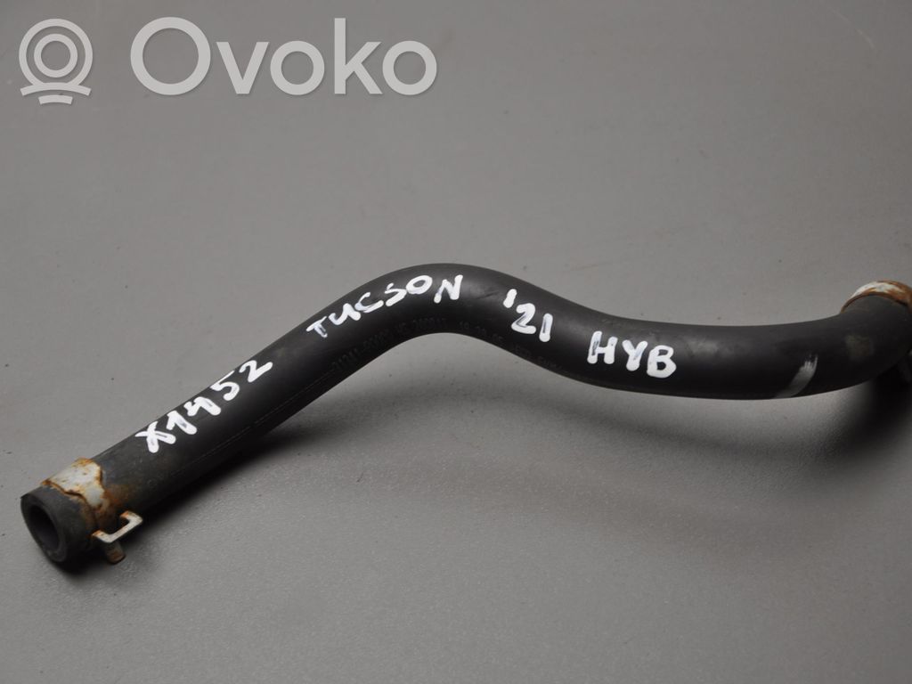 Przewód / Wąż chłodnicy   31341P0000,KLEX1452