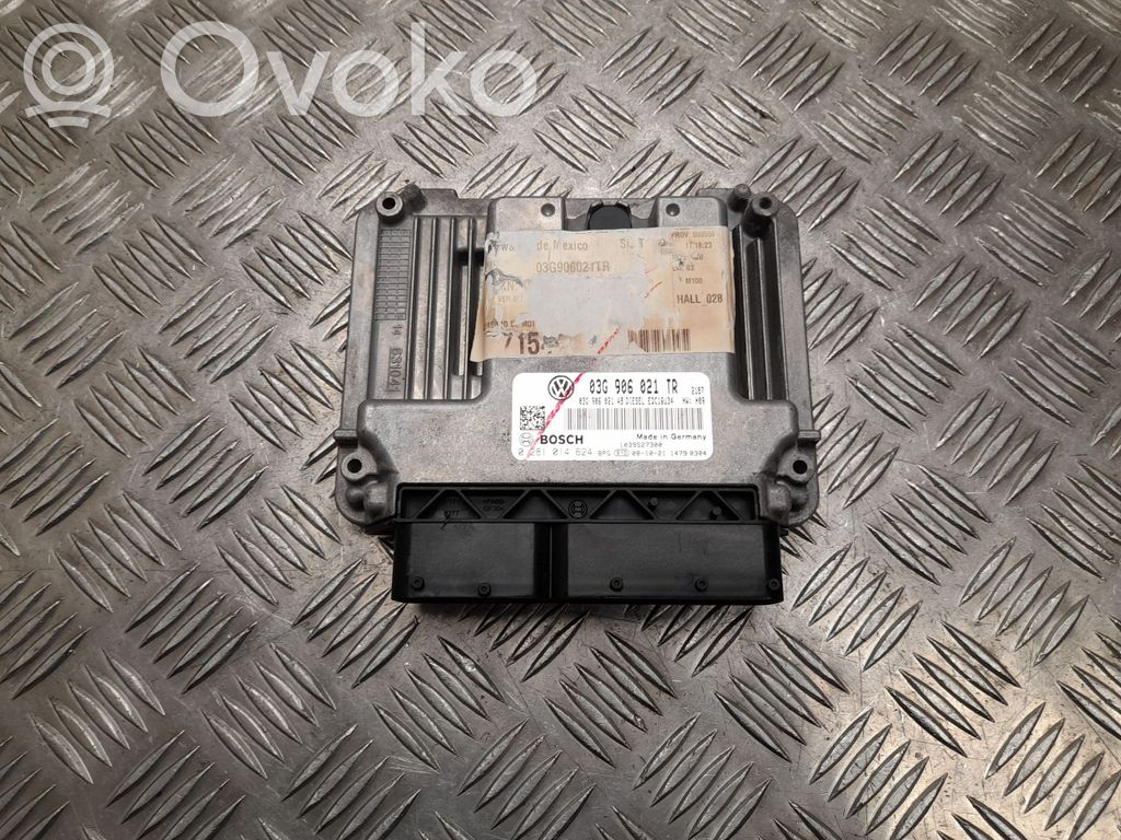 Skoda Octavia Mk2 (1Z) Engine control unit/module 