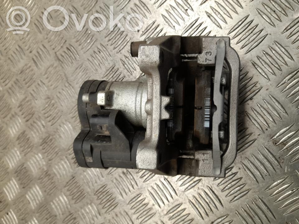 Takajarrusatula   10935919,2420102,544873524,VD36019