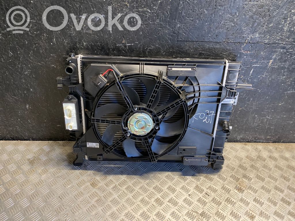 Set radiatoare   220119,10251200,12464643,RAD415