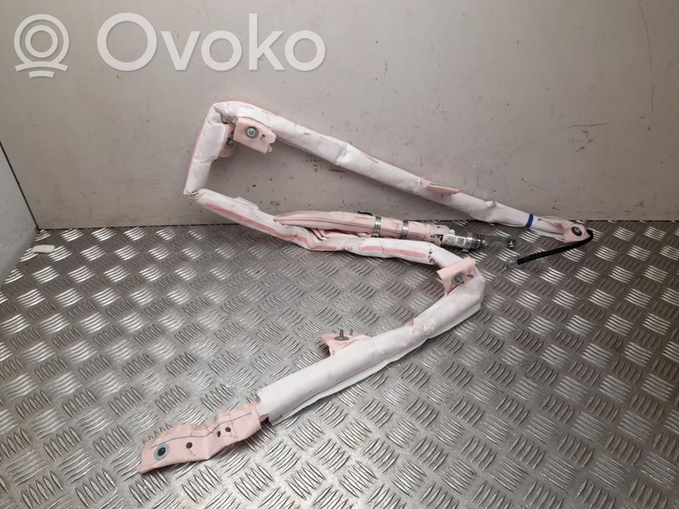 Tesla Model S Airbag del techo 