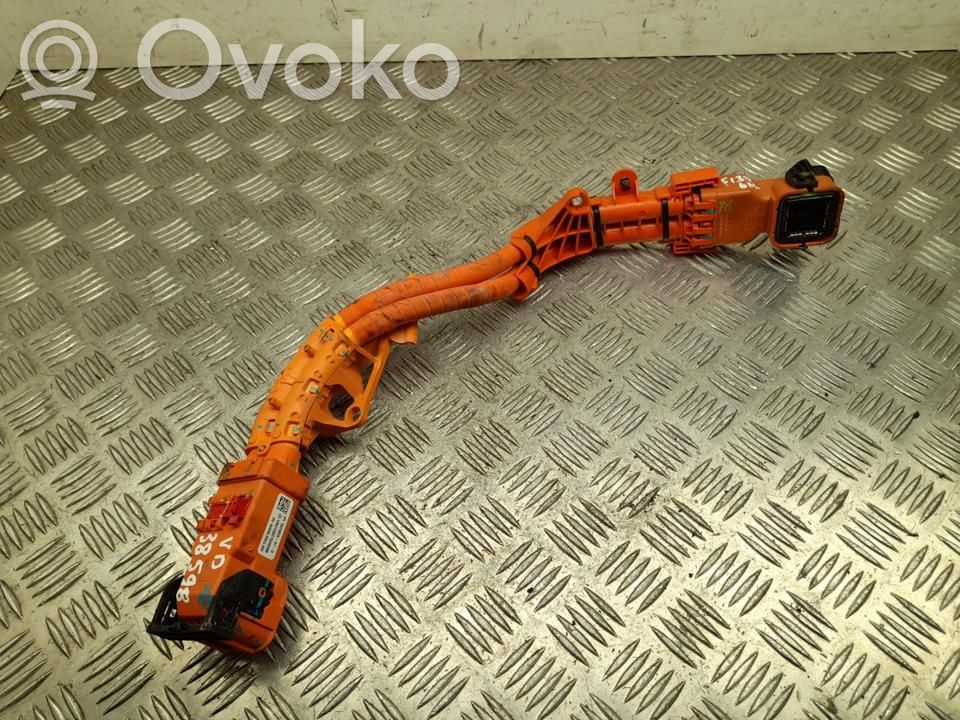 Tesla Model Y Other wiring loom 