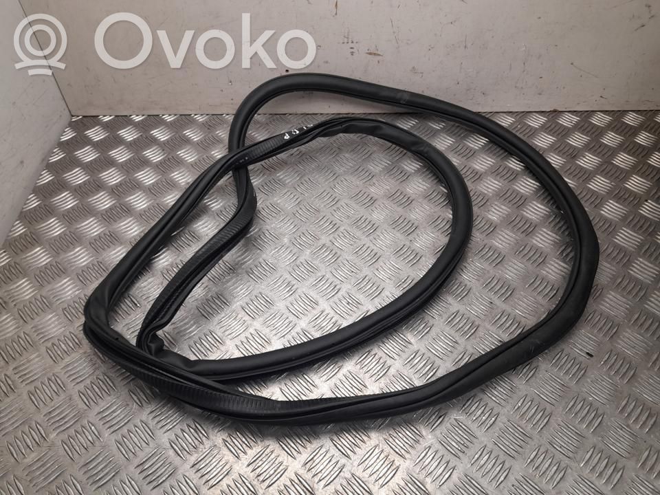 Volkswagen Tayron II Guarnizione in gomma portiera anteriore 
