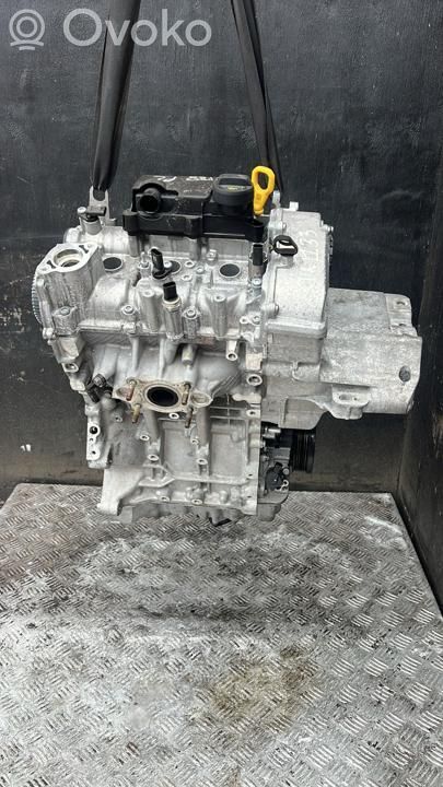 Skoda Fabia Mk4 (6VA) Motor 