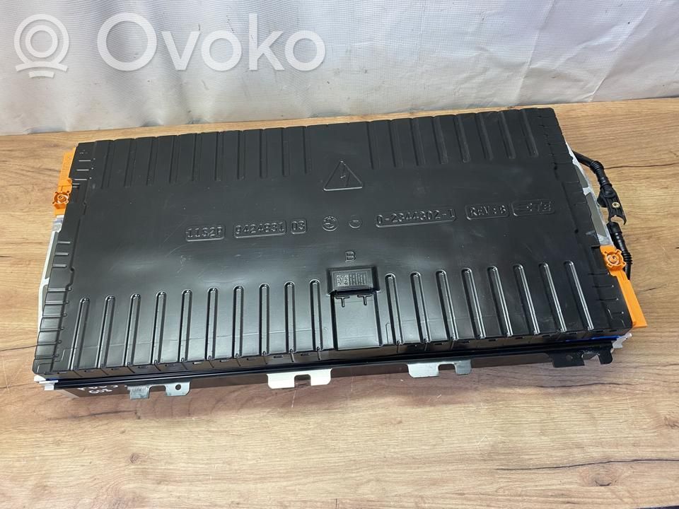 BMW iX3 G08 Cella batteria auto ibrida/elettrica 