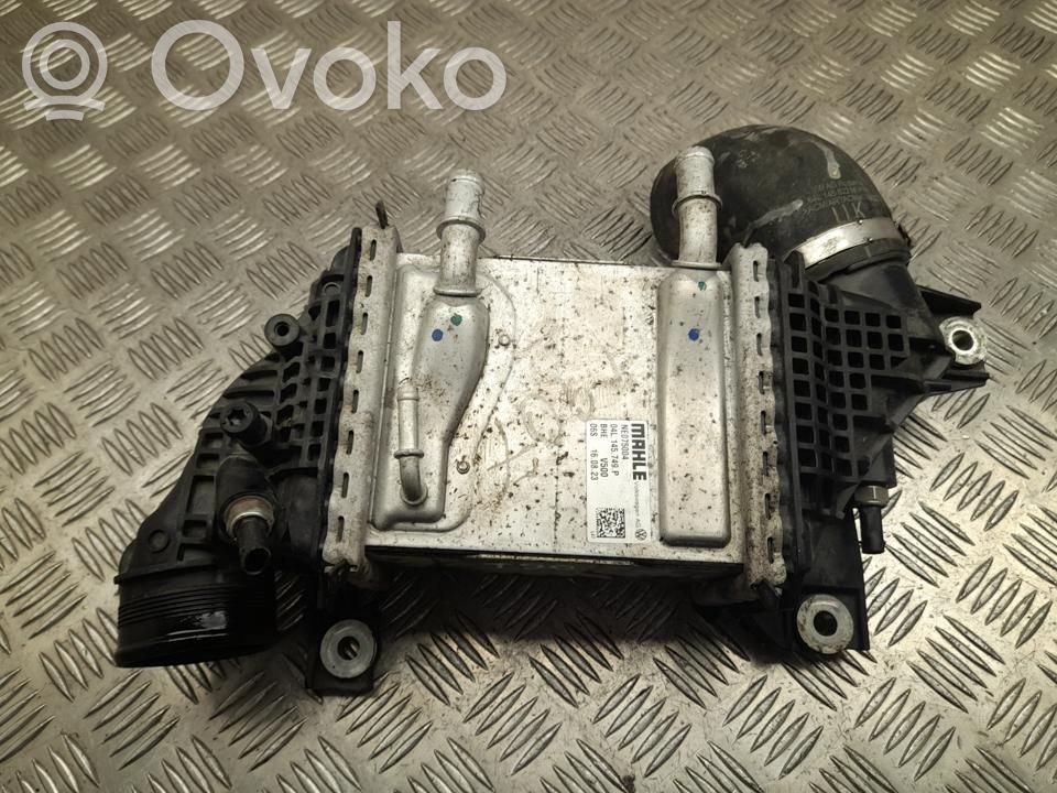 Volkswagen Transporter - Caravelle T6 Chłodnica powietrza doładowującego / Intercooler 