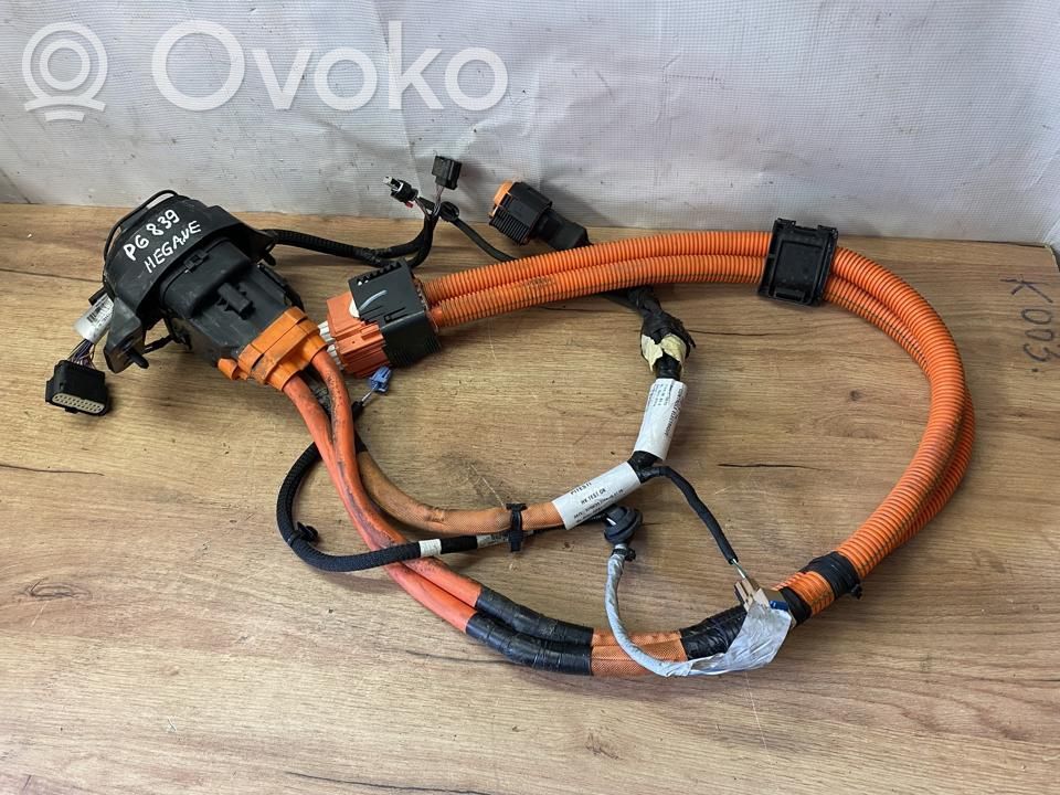 Kabel do ładowania samochodu elektrycznego   403887935R,296950176R,296950431R,KLEP6839