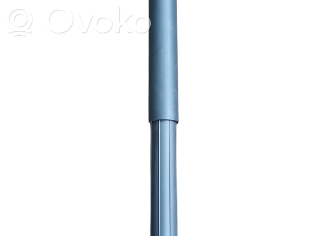 Tailgate strut