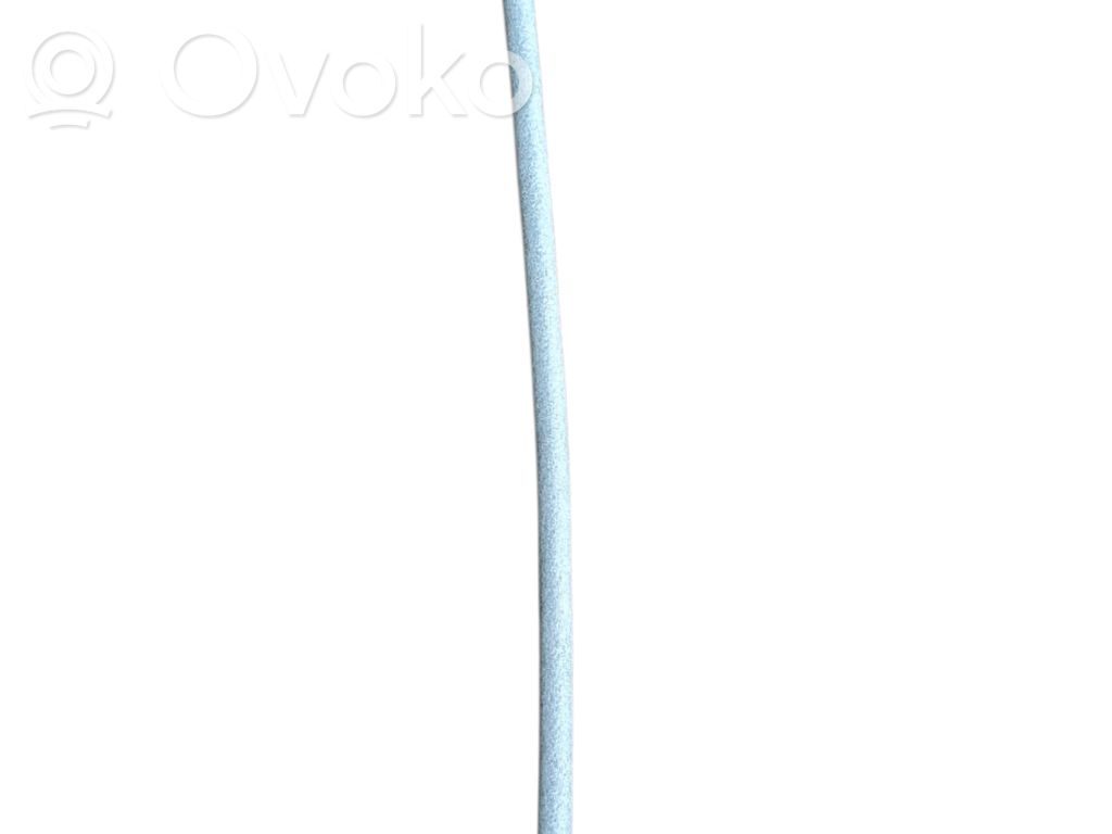 Trosīte   526218