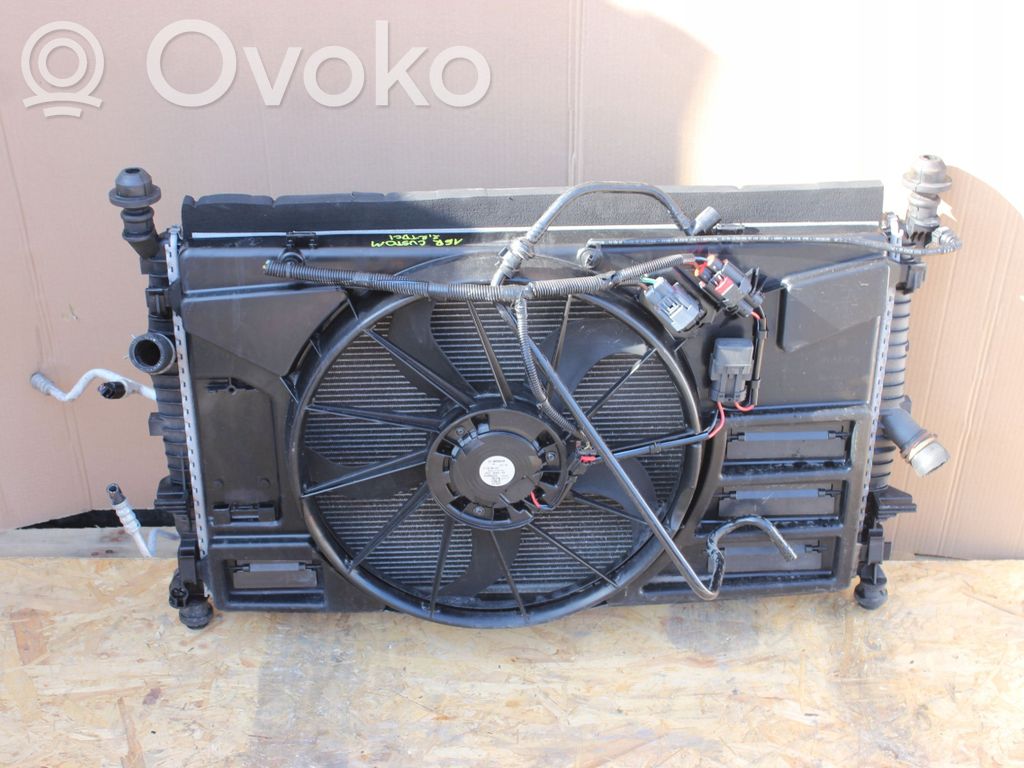 Radiator set   TRANSITBK218C607BA,8C607