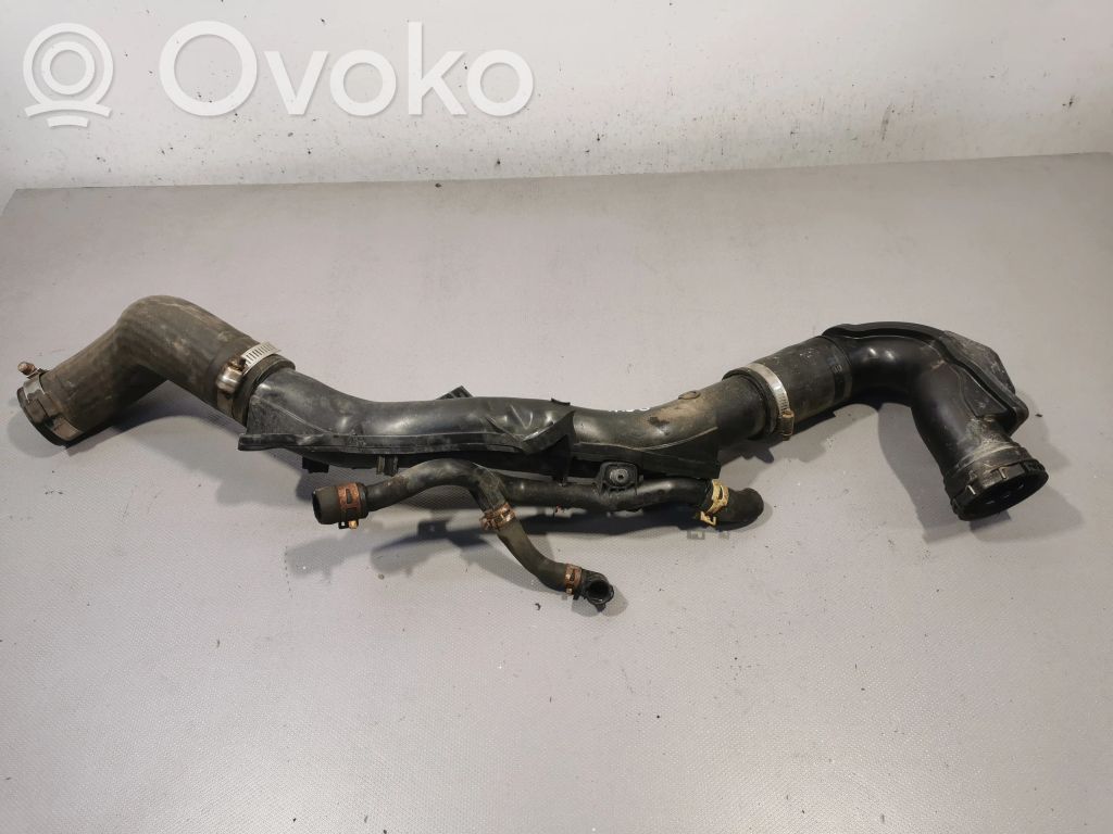 Toyota Verso Interkūlerio žarna (-os)/ vamzdelis (-iai) 