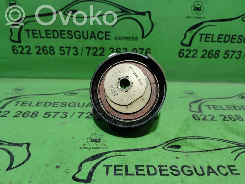 Ford Focus Diržo įtempėjas 