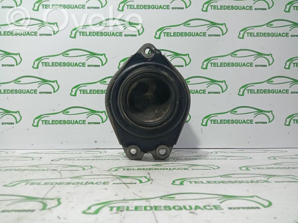 Renault Laguna II Suport tampon motor 