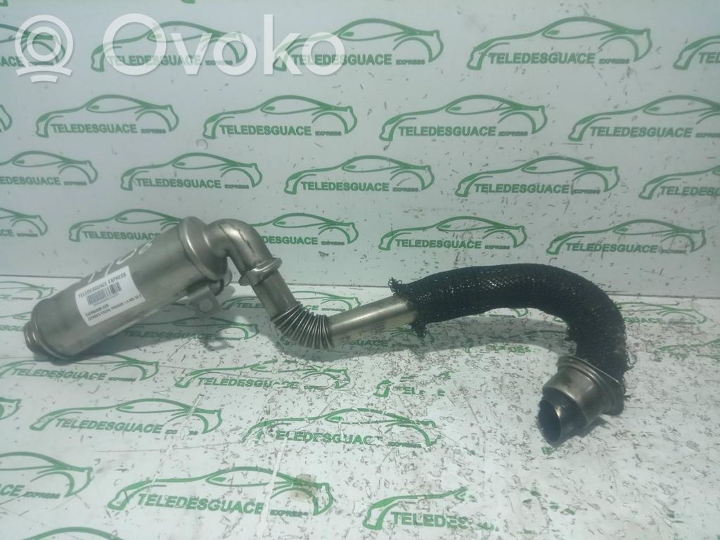 Citroen C4 I Picasso EGR dzesētājs 