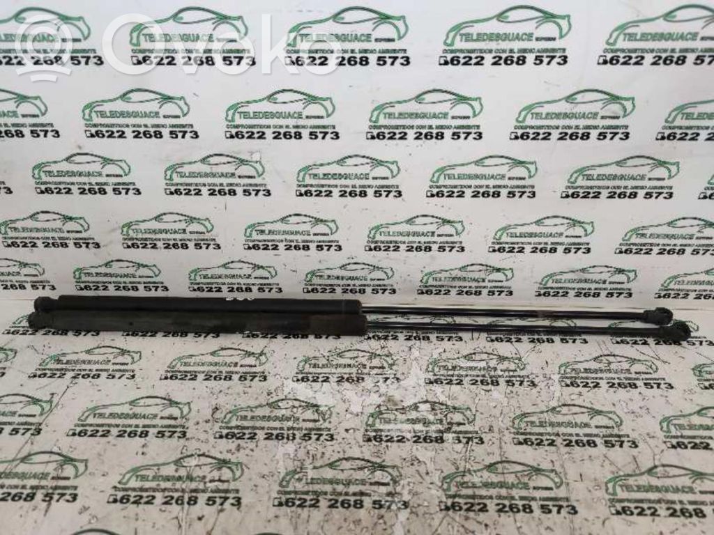 Tailgate/trunk strut/damper