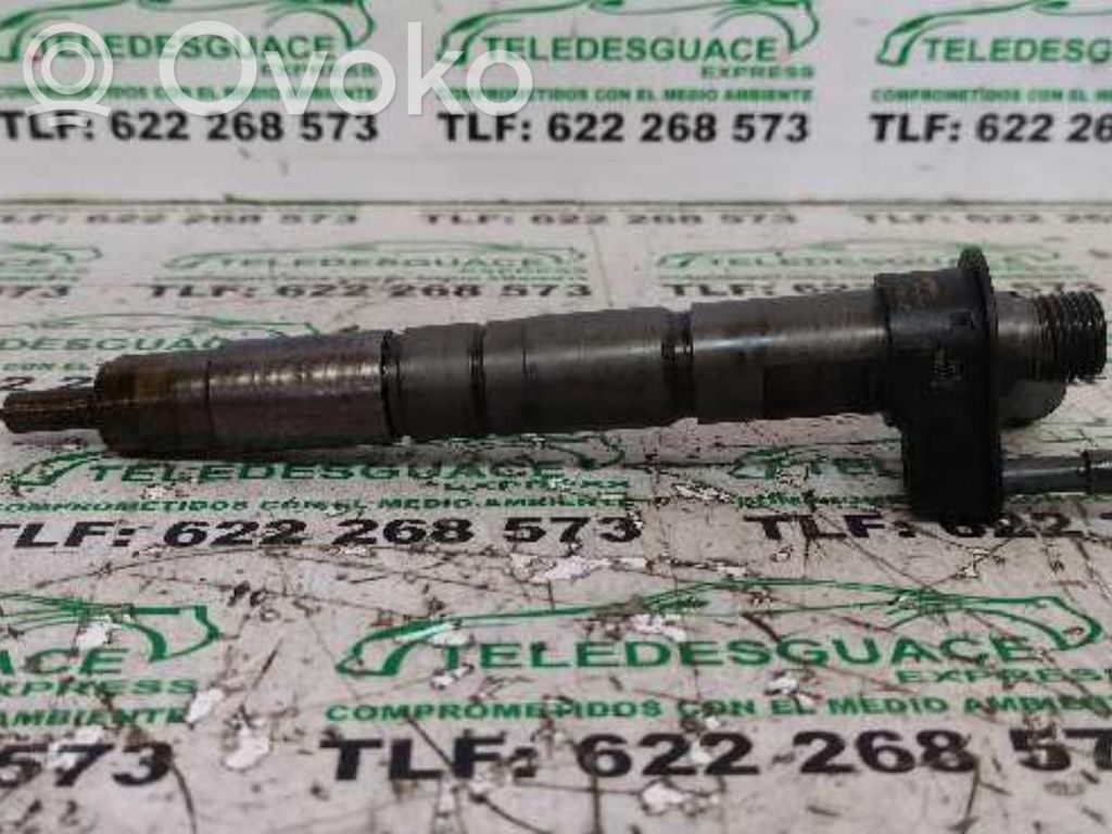 Inyector de combustible   13537805430