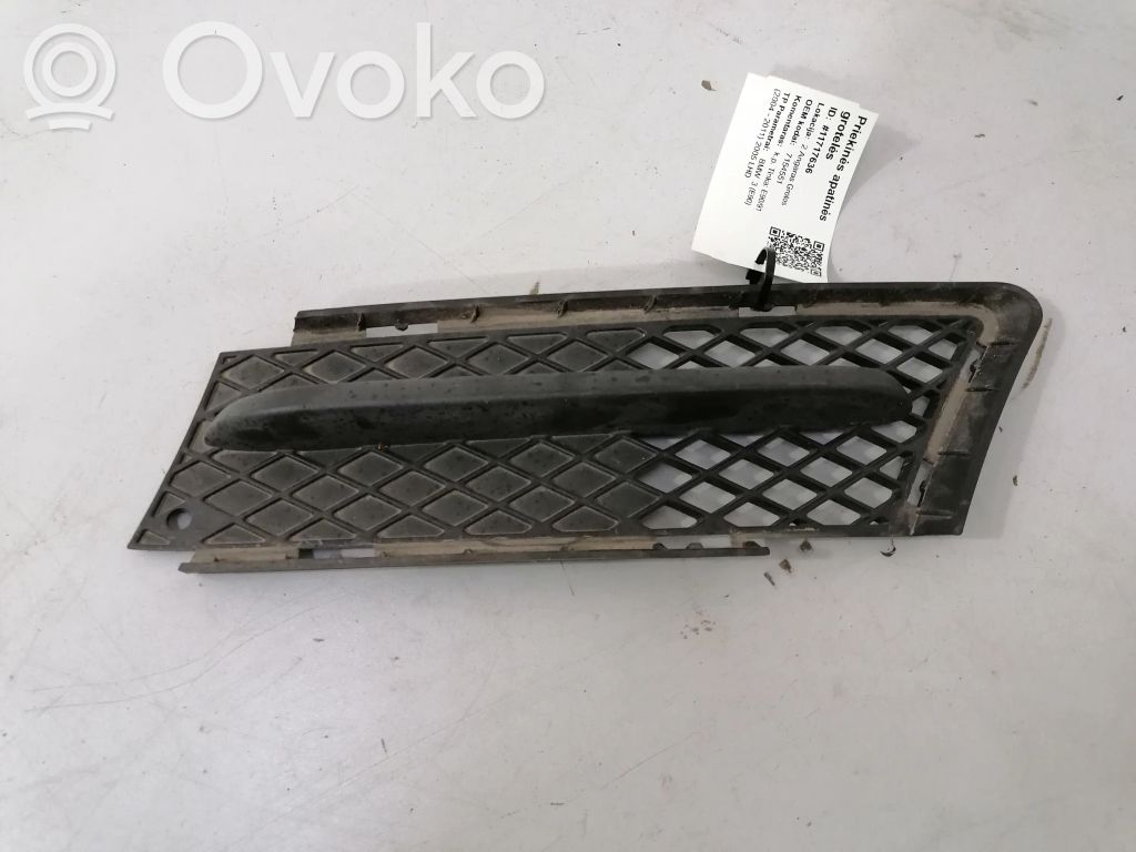 BMW 3 E90 E91 Griglia anteriore 