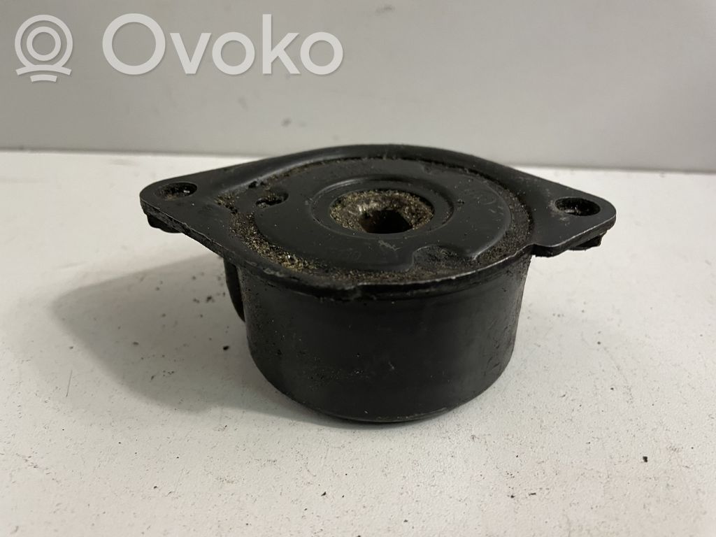 BMW X5 E53 Întinzător curea generator/alternator 