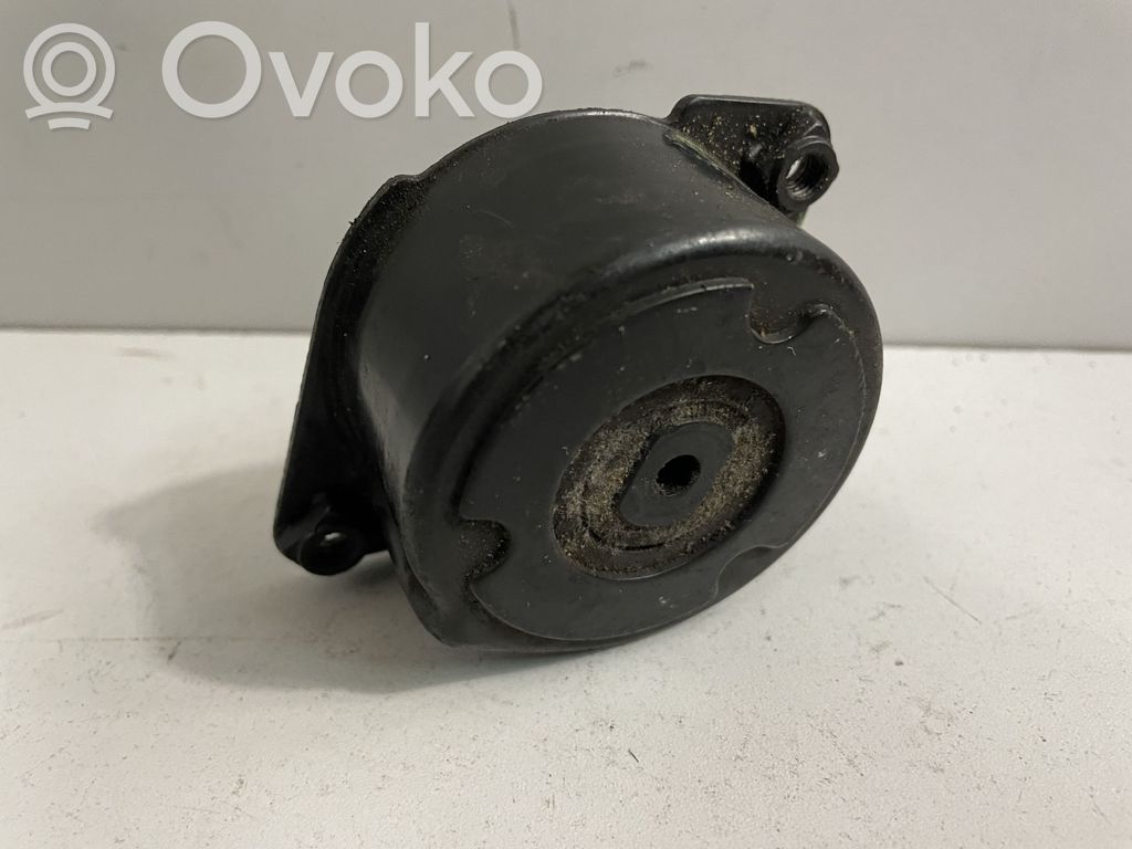BMW 5 E39 Diržo įtempėjas 