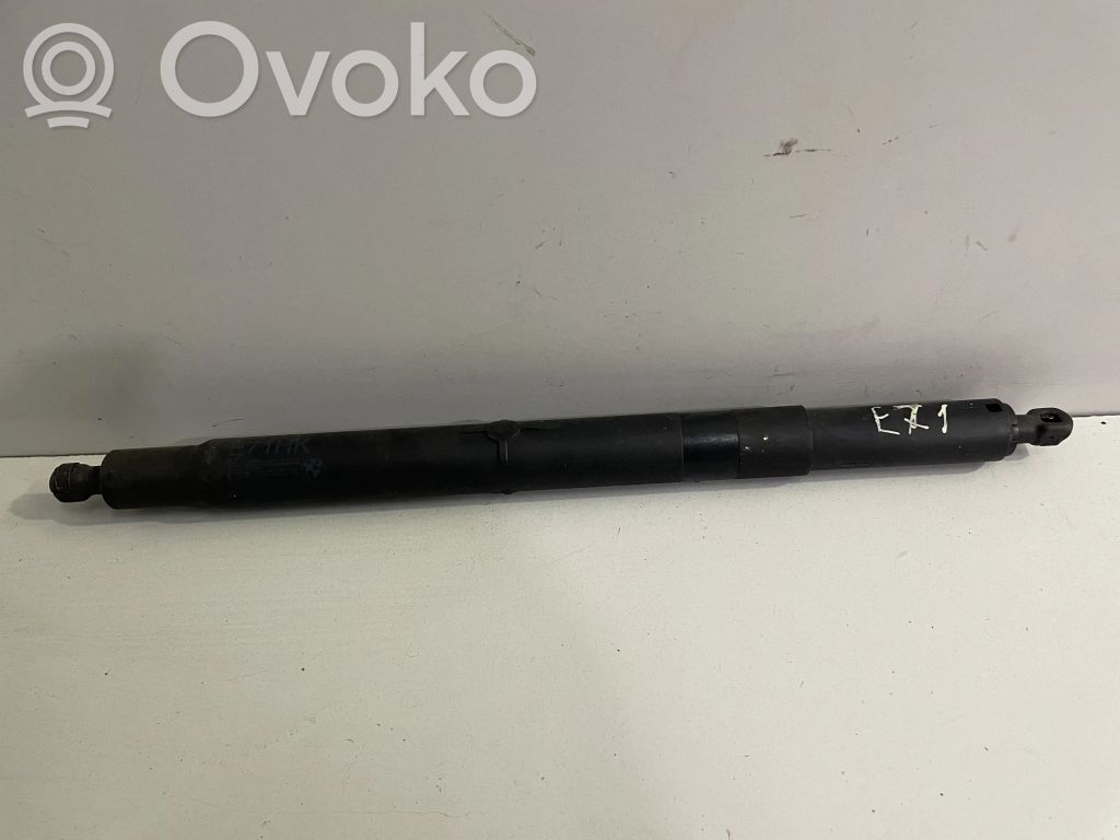 BMW X6 E71 Tailgate/trunk strut/damper 