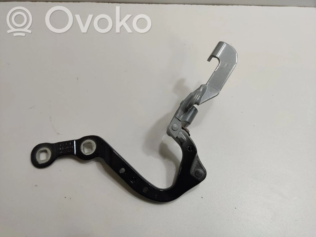 Tailgate/trunk/boot hinge   7494943,7397315