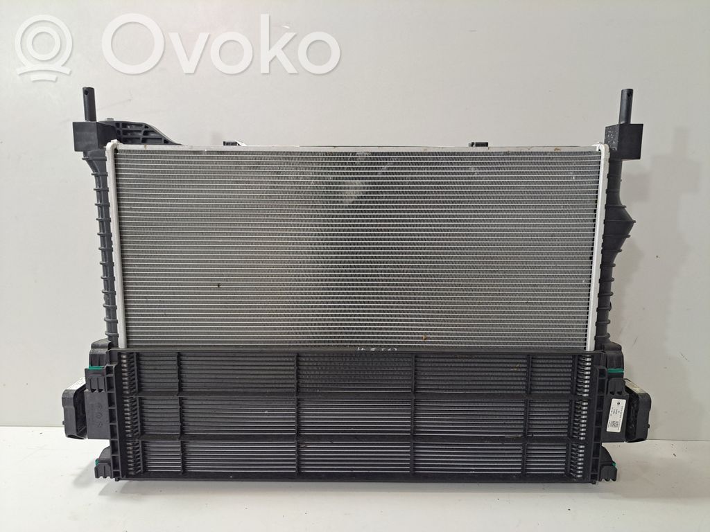 Mini Electric (Cooper SE) Set radiatoare 