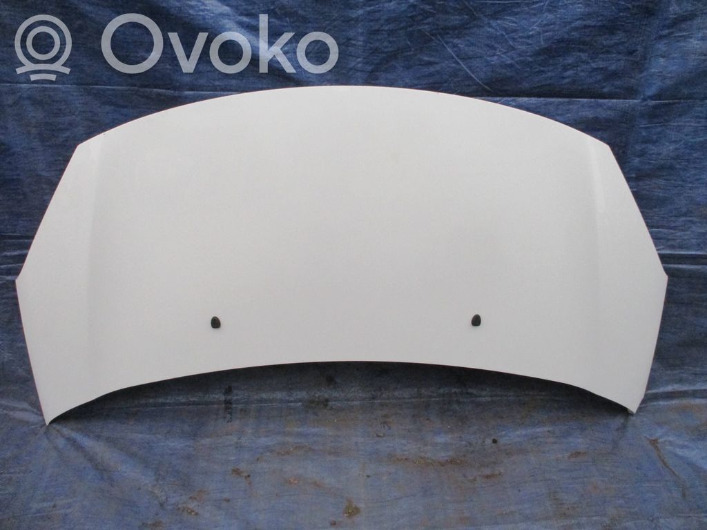 Engine bonnet/hood