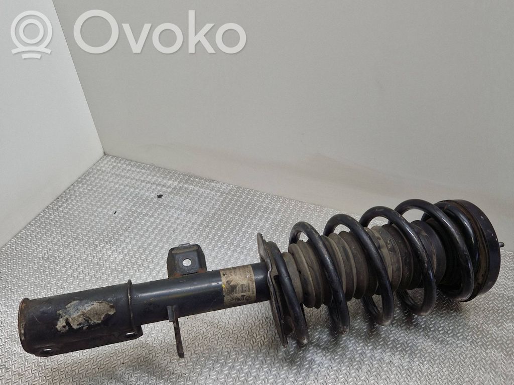 BMW X5 E53 Priekšpusē amortizators 