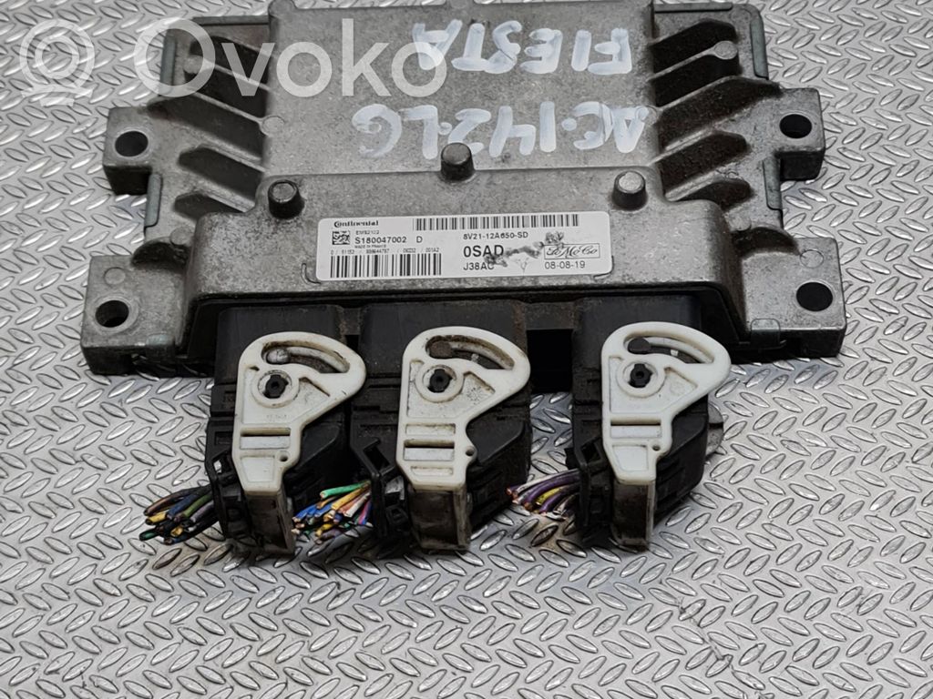 Ford Fiesta Engine control unit/module 