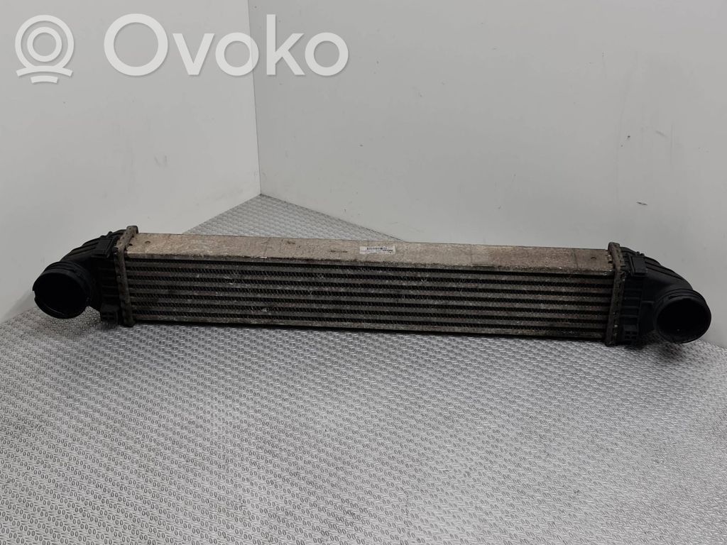 Chłodnica powietrza doładowującego / Intercooler   A1695000000,G0976003,0000764