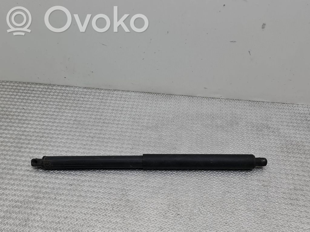 Tailgate/trunk strut/damper   3972VU