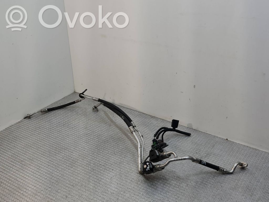 Renault Zoe Oro kondicionieriaus vamzdelis (-ai)/ žarna (-os) 