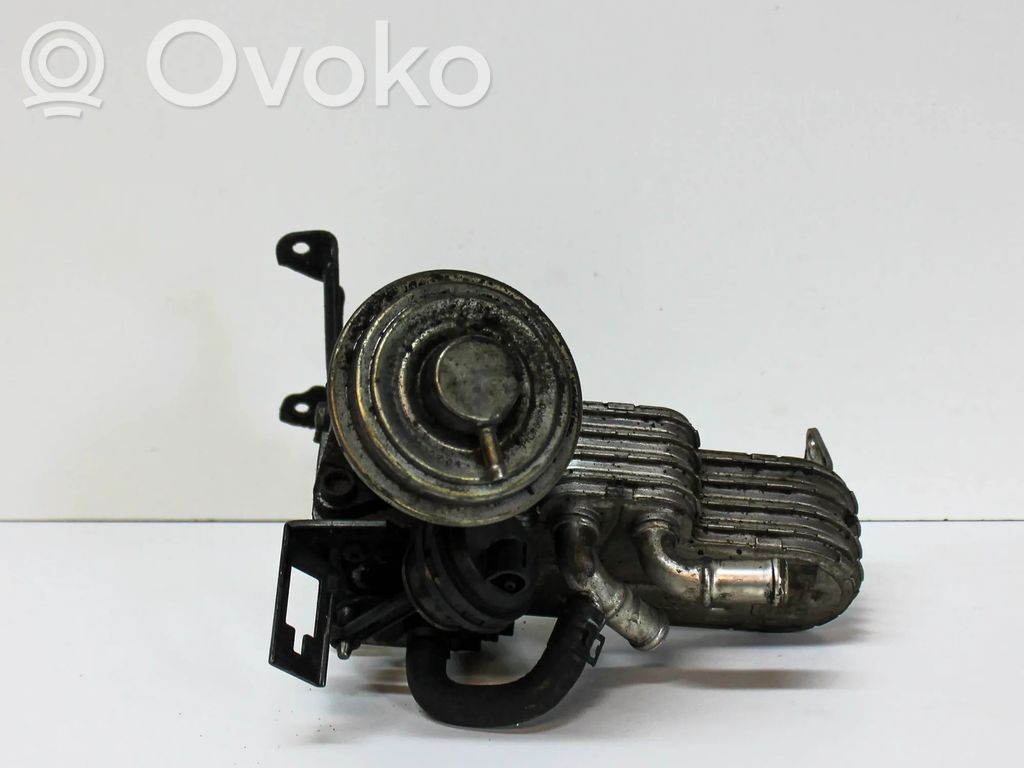 Volkswagen Phaeton Refroidisseur de vanne EGR 