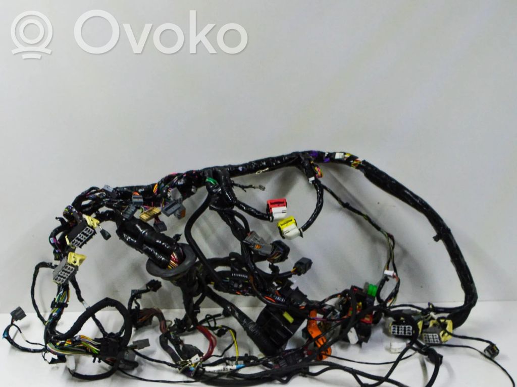 Otros cableados   100442303H,100531100H