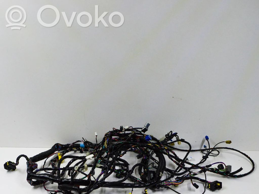 Otros cableados   100441600H