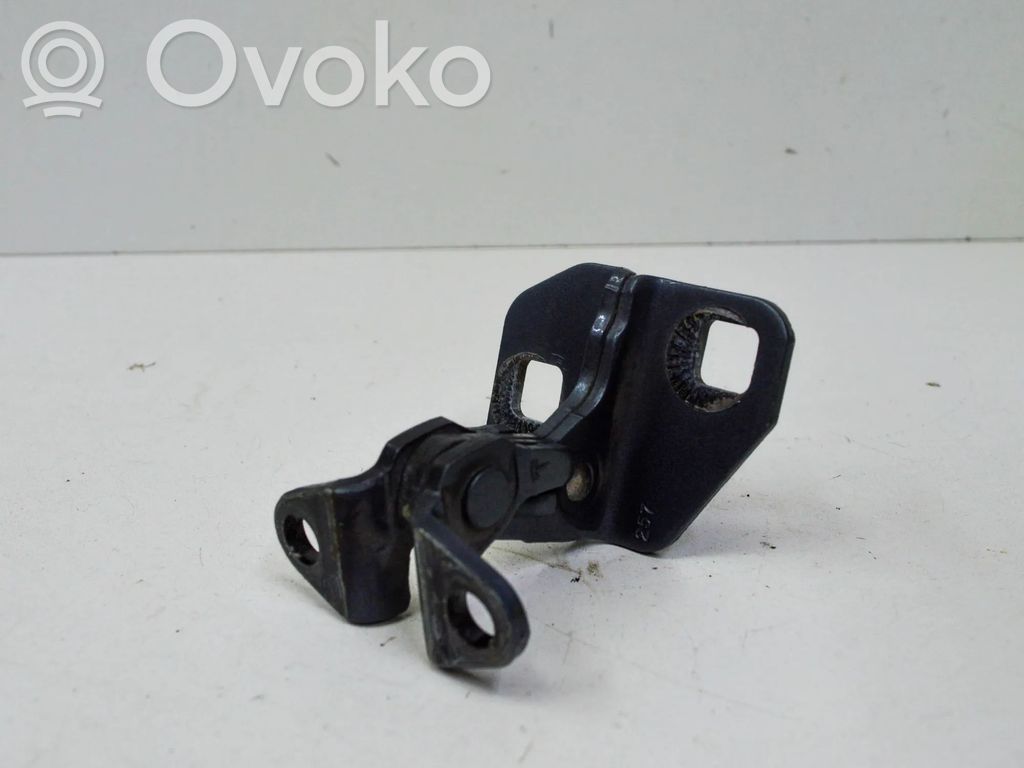 Tesla Model S Rear door lower hinge 