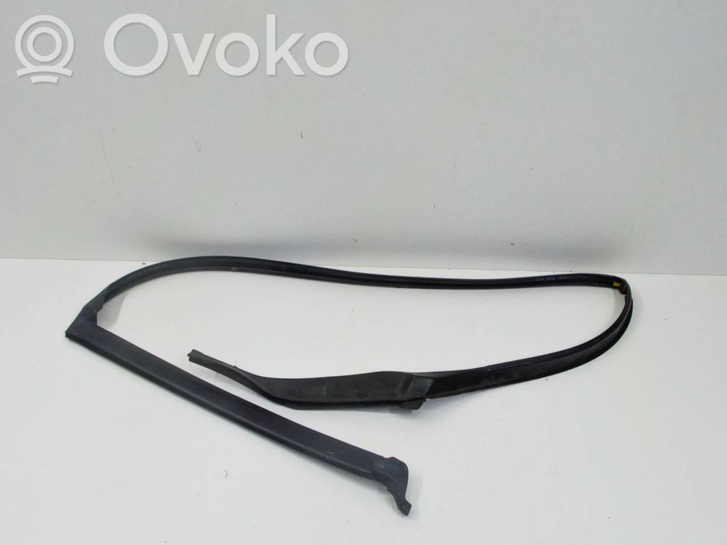 BMW 5 F10 F11 Gumowa uszczelka drzwi tylnych 