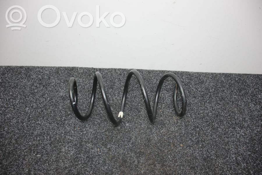 Feder hinten   000000
