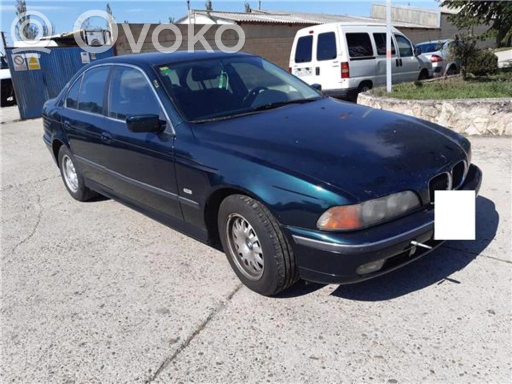 BMW 5 E39 Galinės durys 
