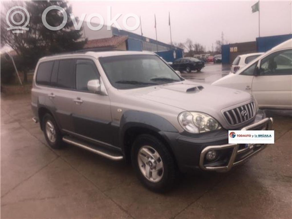 Hyundai Terracan Ușă spate 