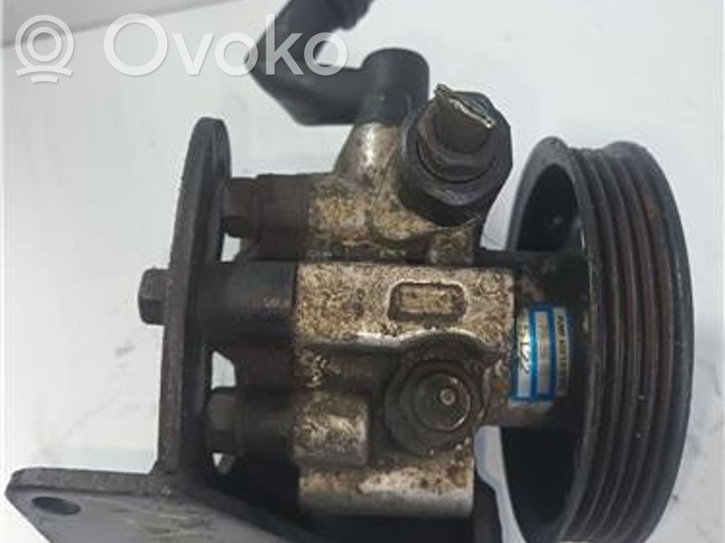 Chevrolet Kalos Power steering pump 