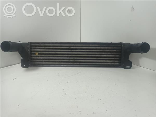 BMW 3 E36 Interkūlerio radiatorius 