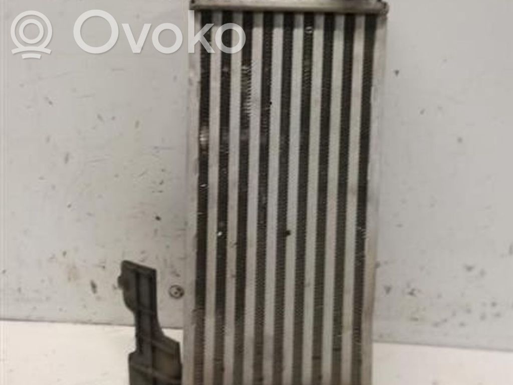 Lancia Ypsilon Intercooler radiator 