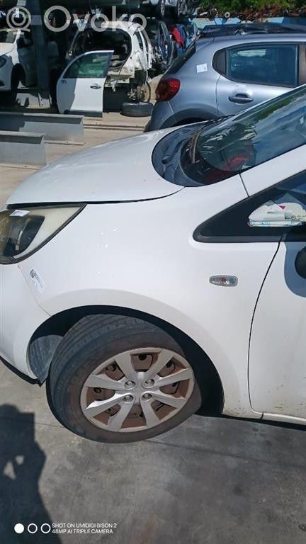 KIA Rio Spārns 