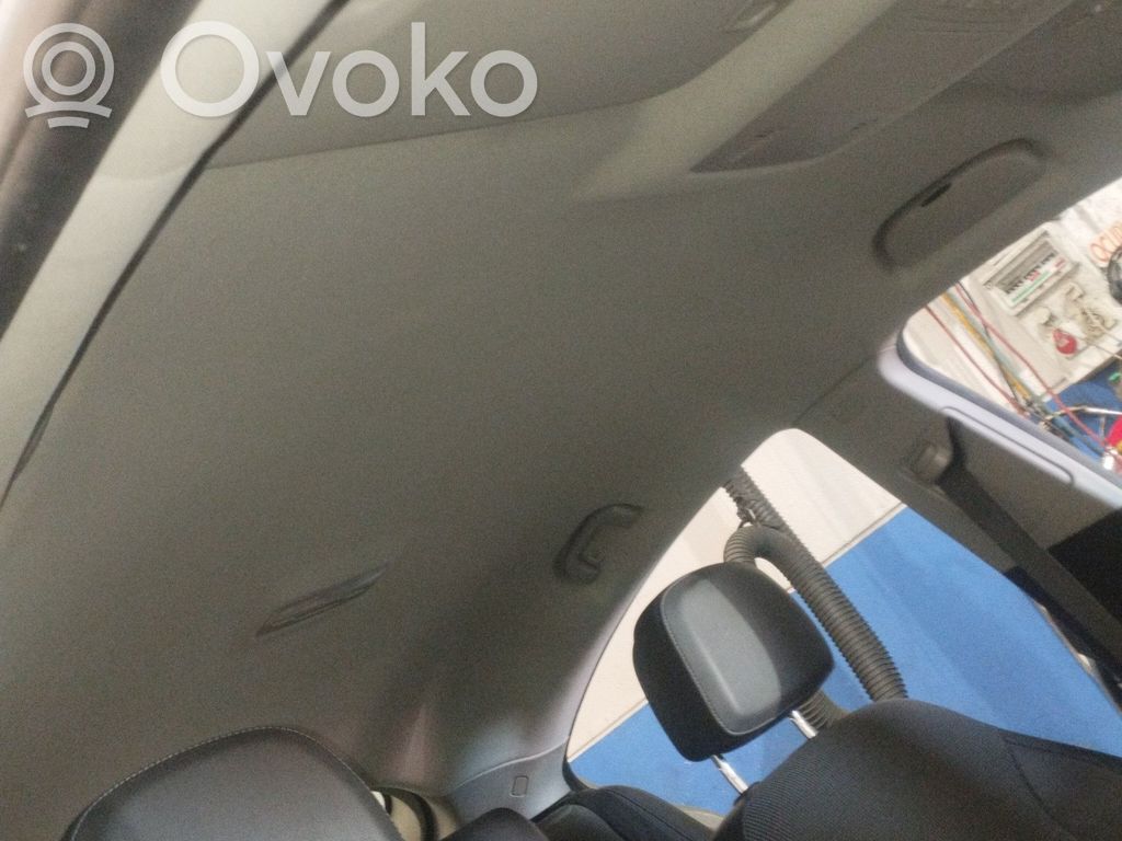 Opel Insignia A Roof 