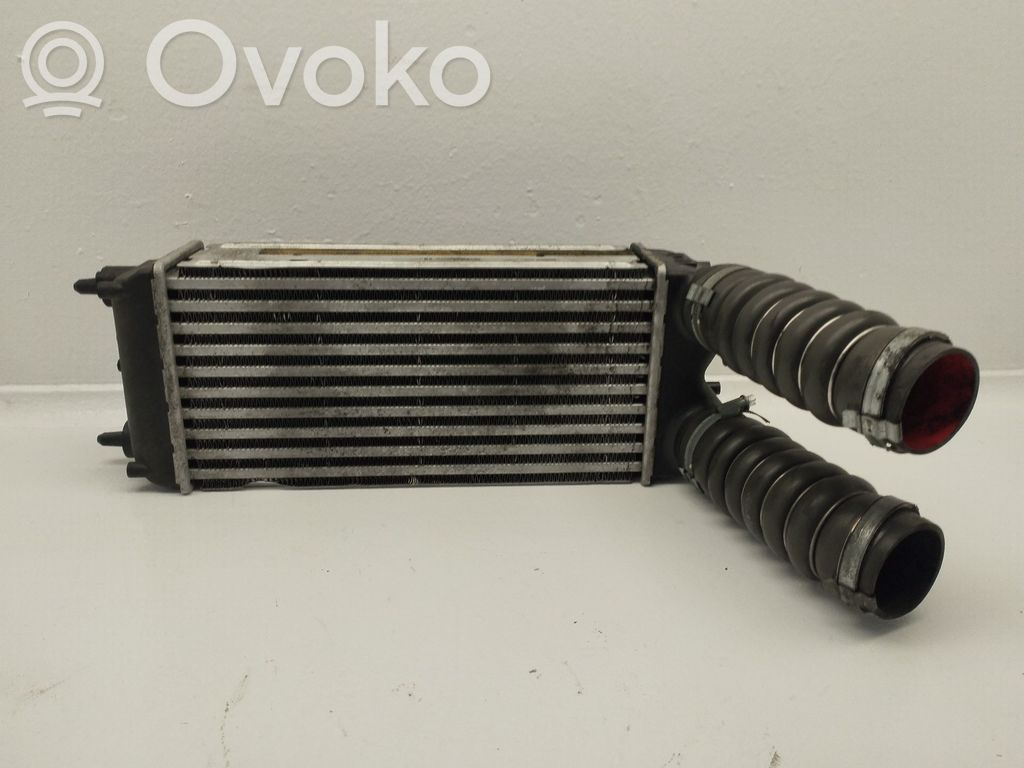 Interkūlerio radiatorius   AV219L440AB