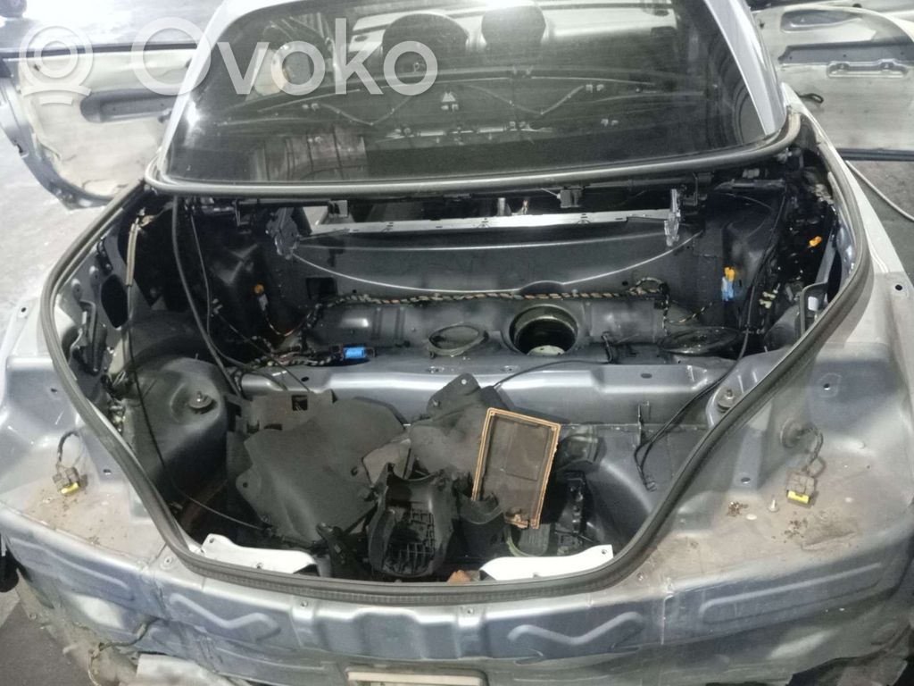 Opel Tigra B Junta de goma de la puerta delantera 