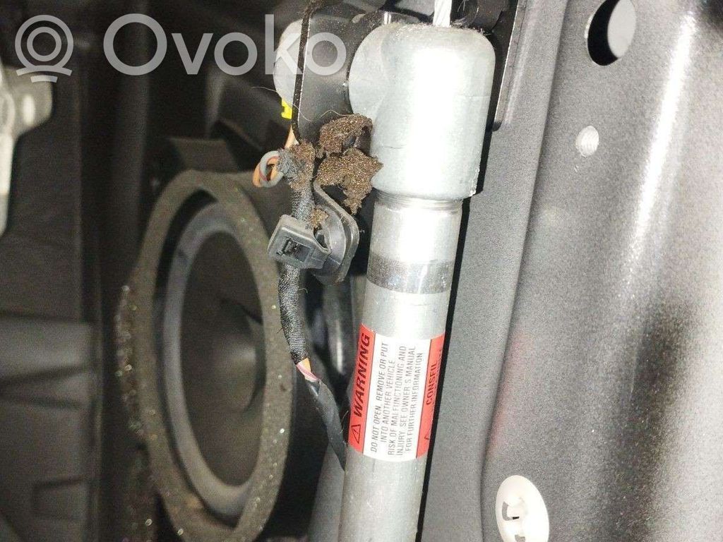 Cinturón delantero   31320500