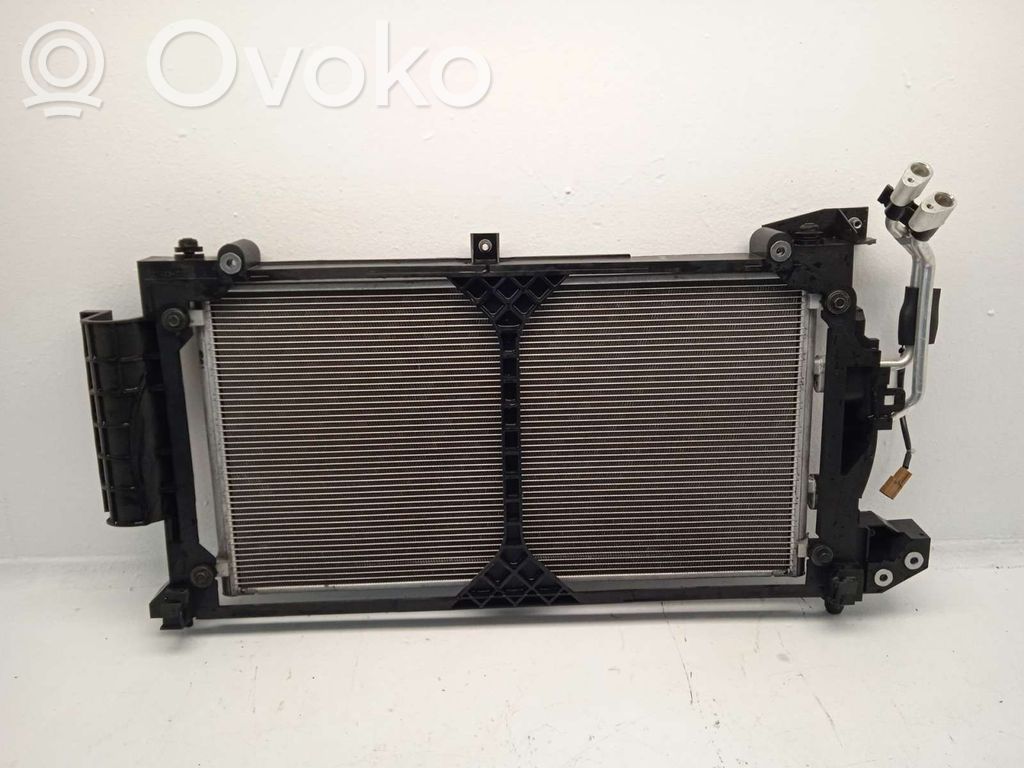 Nissan Leaf I (ZE0) Radiatore di raffreddamento A/C (condensatore)