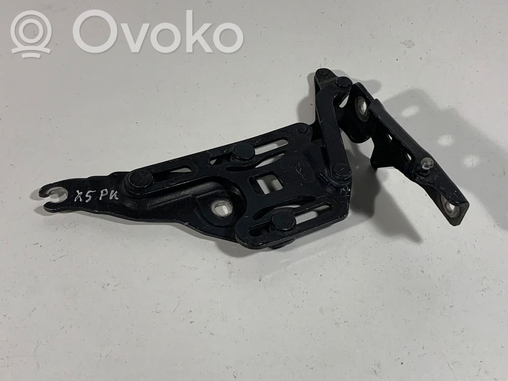 BMW X5 E70 Dzinēja pārsega eņģe (-es) 